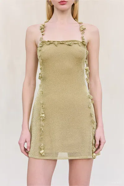 Cult Gaia Alonza Knit Mini Dress In Gold In Green