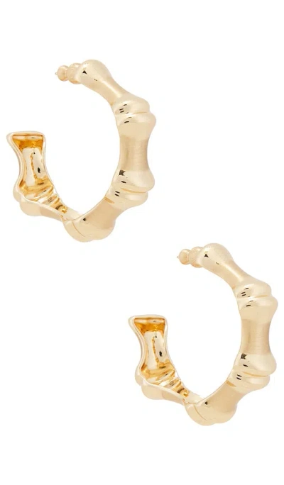 Cult Gaia Bambu Hoop Earrings