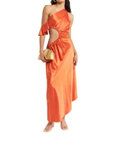 Cult Gaia Bellamy Dress In Multi