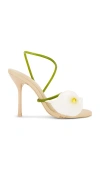 Cult Gaia Cassidy Pvc-trimmed Leather Sandals In Green