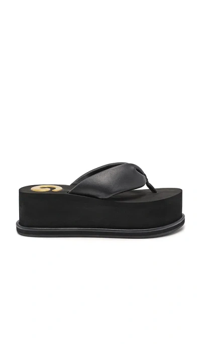 Cult Gaia Cg Platform