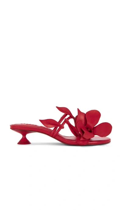 Cult Gaia Colette Sandal