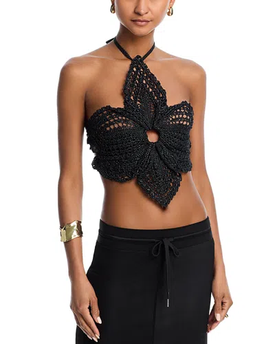 Cult Gaia Darlena Crochet Halter Top In Black