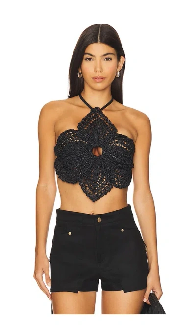 Cult Gaia Darlena Crochet Top In Black