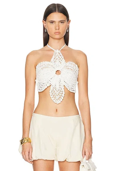 Cult Gaia Darlena Crochet Top In Off White