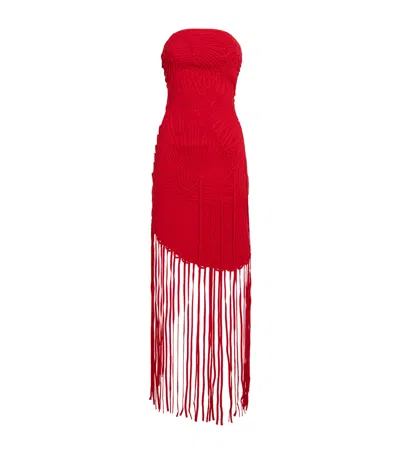 Cult Gaia Embroidered Edina Maxi Dress In Red
