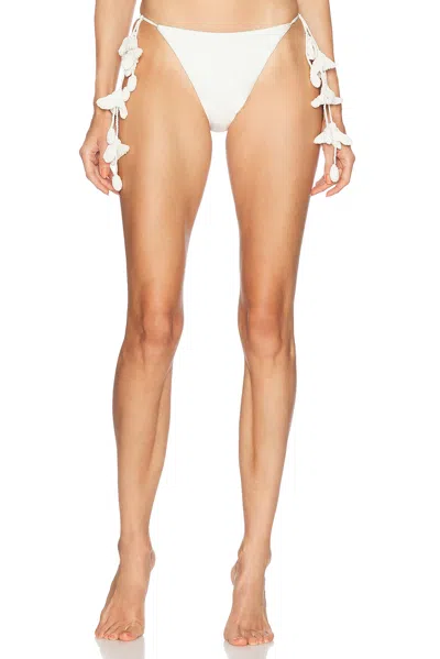 Cult Gaia Estrella Bikini Bottom In Off White
