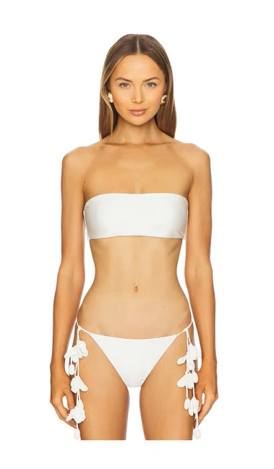 Cult Gaia Estrella Bikini Top In Off White