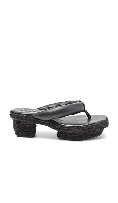 Cult Gaia Fumi Platform