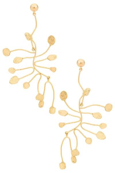 Cult Gaia Ilaria Earring