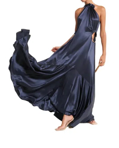 Cult Gaia Iris Maxi Dress In Aspen In Multi