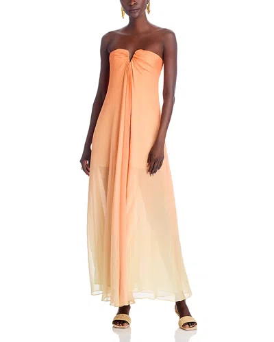 Cult Gaia Janelle Gown In Ombre