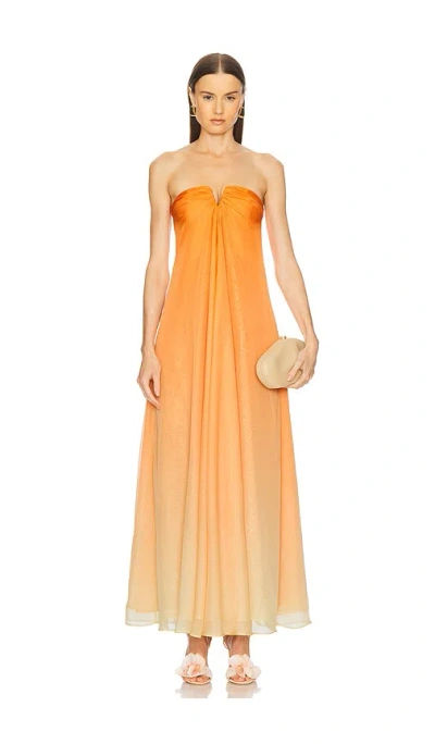 Cult Gaia Janelle Gown In Ombre