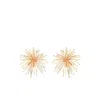 Cult Gaia Gold Earrings Women In Gold