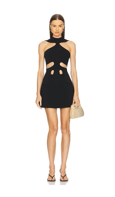 CULT GAIA LILLIE KNIT DRESS
