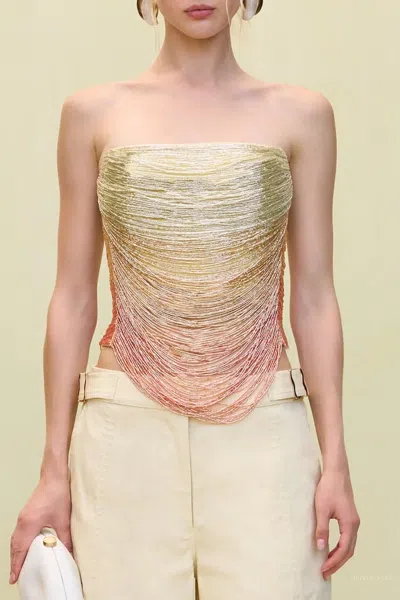 Cult Gaia Pandora Top In Ombre In Multi