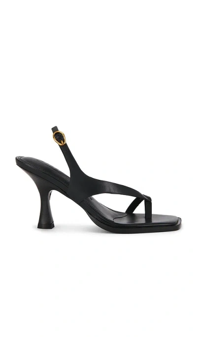 Cult Gaia Paxton Sandal In Black