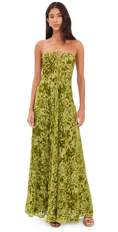 Cult Gaia Renay Burnout Velvet Dress Chive In Green