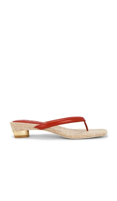 Cult Gaia Sierra Sandal In Red