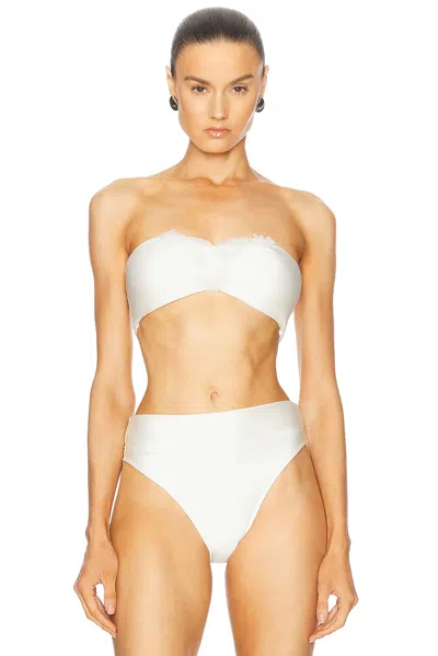 CULT GAIA URSULA BIKINI TOP
