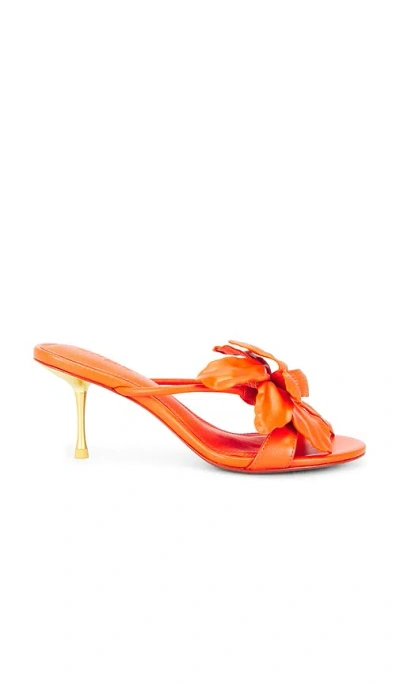 Cult Gaia Valoria Sandal In Orange