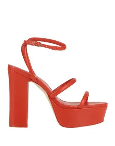 Cult Gaia Woman Sandals Coral Size 8 Leather In Red
