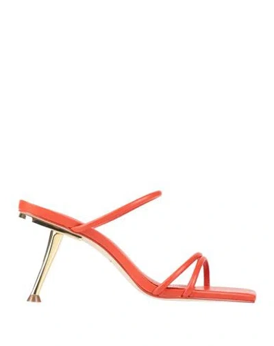 Cult Gaia Woman Sandals Orange Size 8 Leather