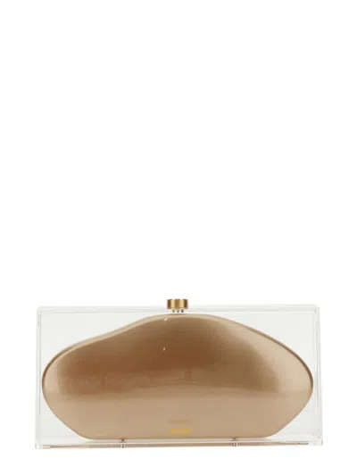 Cult Gaia Annika Mini Acrylic Pouch Clutch In Pink