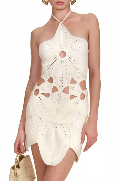 CULT GAIA WOMEN'S FLOREANA KNIT DRESS IN OFF WHITE