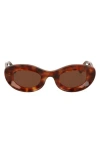 Cult Gaia X Thierry Lasry Jazz 47mm Oval Sunglasses In Brown