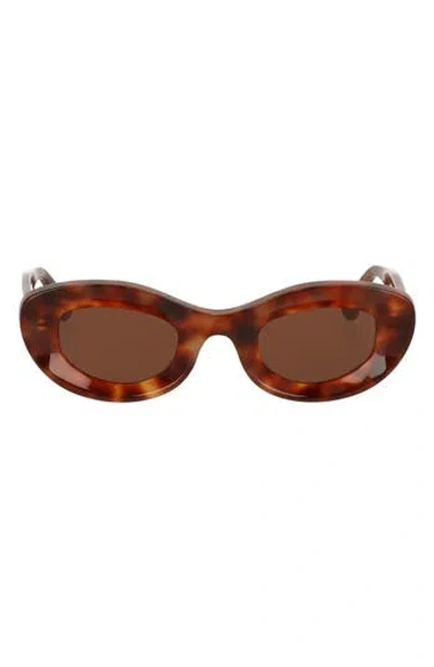 Cult Gaia X Thierry Lasry Jazz 47mm Oval Sunglasses In Brown
