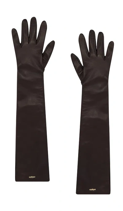 Cult Gaia Zya Gloves In Espresso