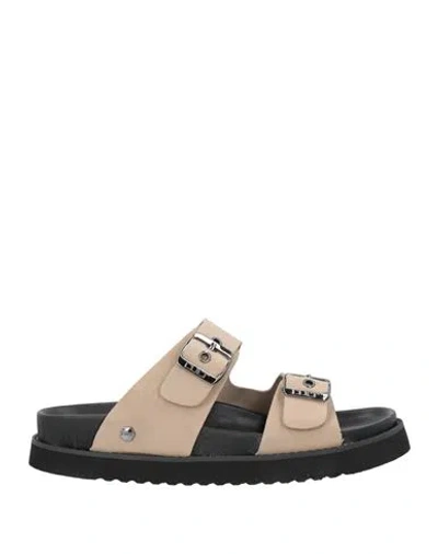 Cult Man Sandals Taupe Size 9 Leather In Grey