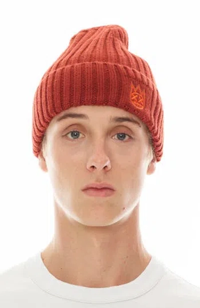 Cult Of Individuality Embroidered Logo Cotton Knit Beanie In Rust
