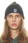 Cult Of Individuality Knit Hat In Duck Green