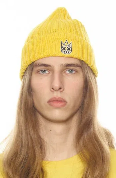 Cult Of Individuality Knit Hat In Maize