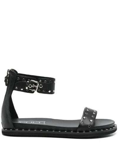 Cult Roshelle Flat Sandals In Black
