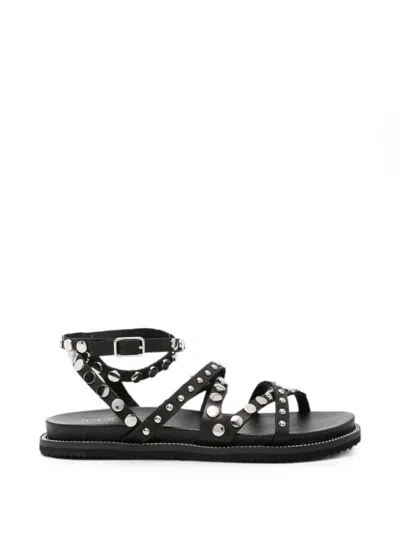 Cult Roshelle Stud-embellishment Sandals In Black