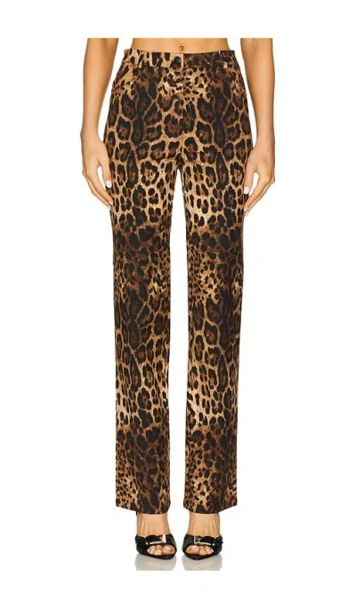 Cultnaked Gerade Hose Killa In Brown