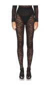 Cultnaked Lace Skin Leggings In Onyx