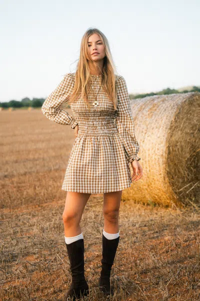 Cupshe Sweet Jam Gingham Mini Dress In Brown