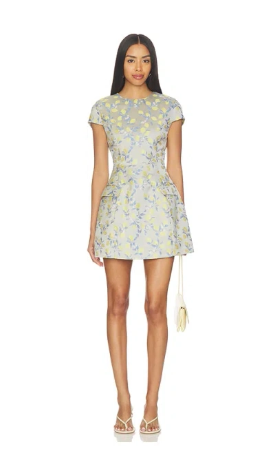 Curaae By Elliatt Annie Mini Dress In Gray