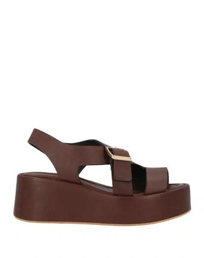 Curiosite Curiosité Woman Sandals Brown Size 9 Leather