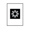 Curiosity Snug Curious Creatures Series - Chimp Daisy Print - Black In Multi