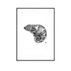 Curiosity Snug Curious Creatures Series - Curious Chameleon Print - Black In Multi