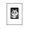 Curiosity Snug Curious Creatures Series - Fox Bunny Fun Print - Black In Multi
