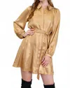 Current Air Amaya Belted Mini Dress In Gold In Brown