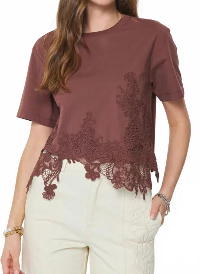 Current Air Asymmetric Lace Hem Top In Brown