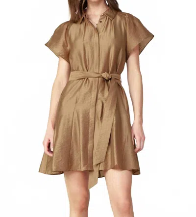 Current Air Button-down Mini Shirts Dress In Latte In Brown