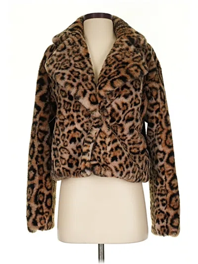 Pre-owned Current Air Faux Fur Jacket In Brown/black